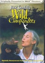 Jane Goodall\'s Wild Chimpanzees