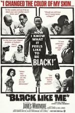 Black Like Me