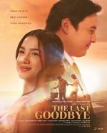 The Last Goodbye