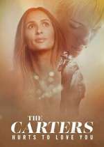 The Carters: Hurts To Love You