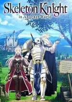 Skeleton Knight in Another World